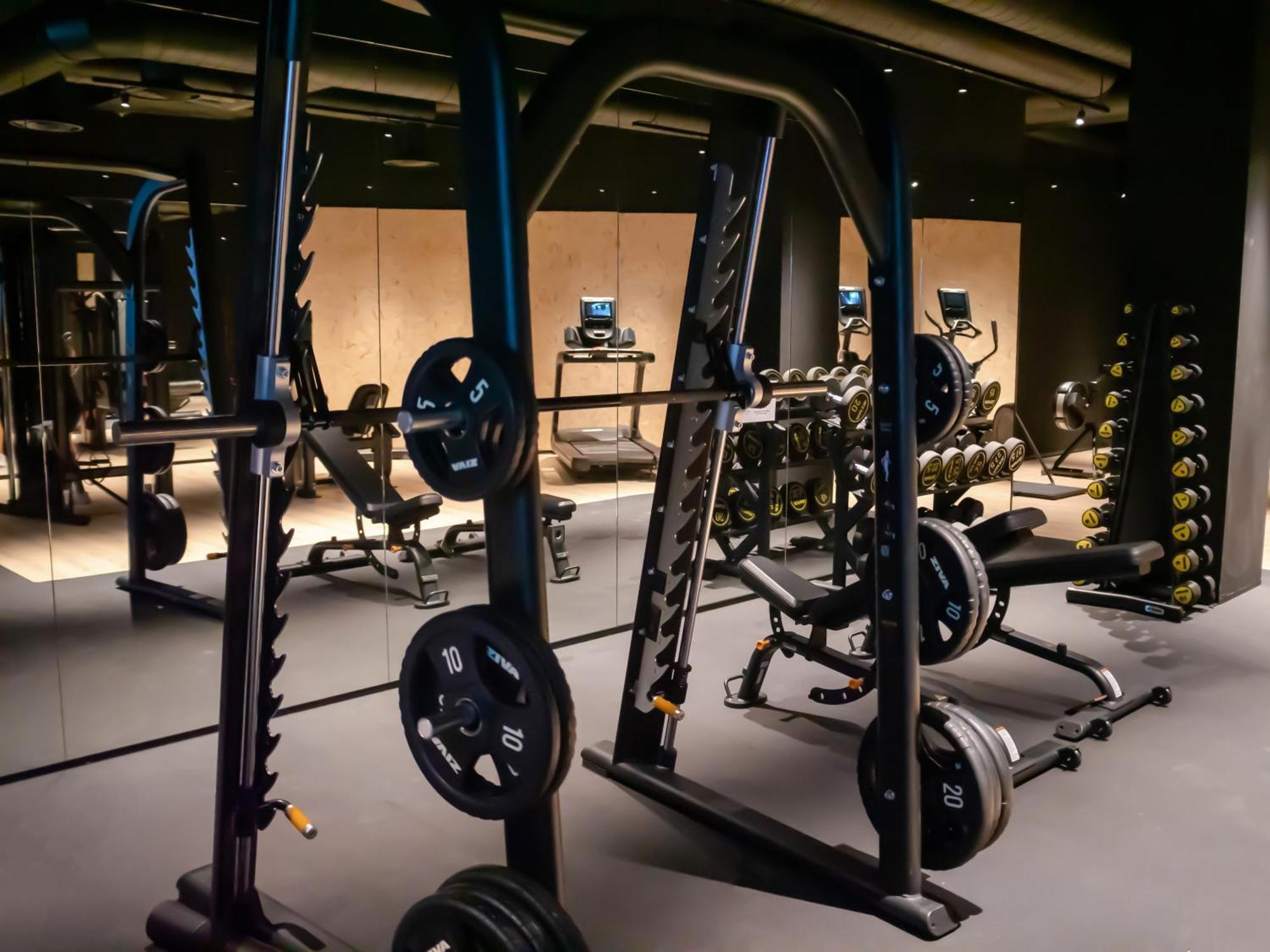 Hotel Princesa Parc Excellence Arinsal Kültér fotó The gym at The Standard London